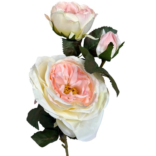 Natural garden collection - natural,