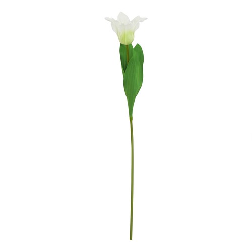 Natural garden collection - natural,