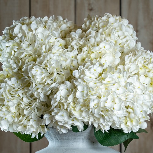 Natural garden collection - natural,