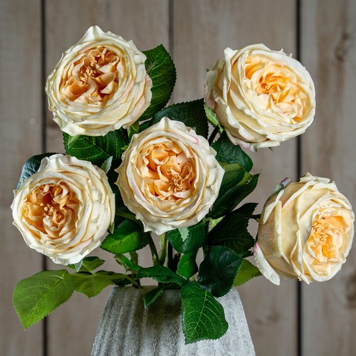 Natural garden collection - garden,