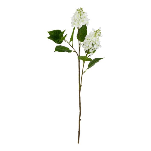 Natural garden collection - natural,